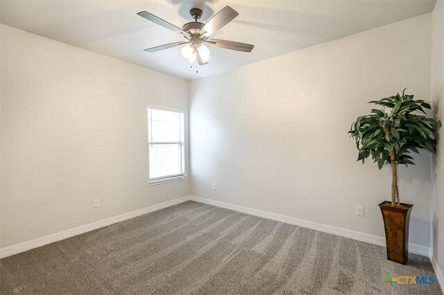 1006 Winchester Dr, Nolanville, TX 76559 - photo 19