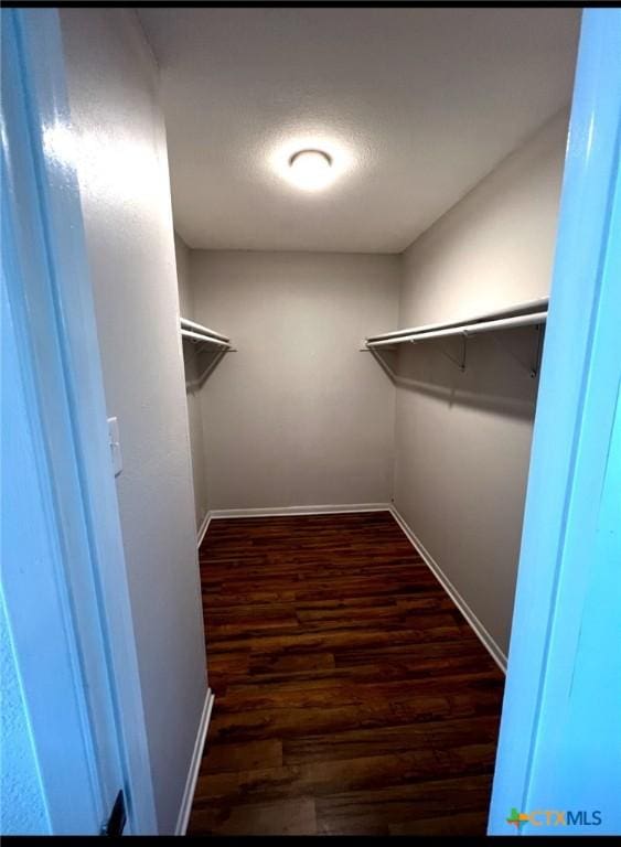 spacious closet with dark hardwood / wood-style floors