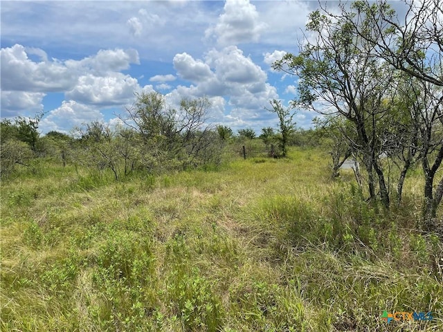 9025 Burklund Farms Rd, Del Valle, TX 78617