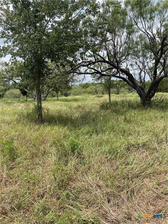 9025 Burklund Farms Rd, Del Valle, TX 78617