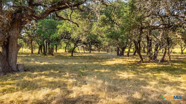 view of landscape