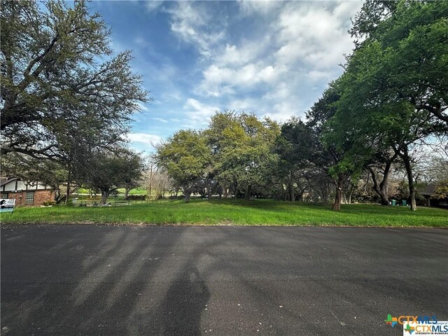 TBD Estate Drive, Belton, TX 76513 - photo 1