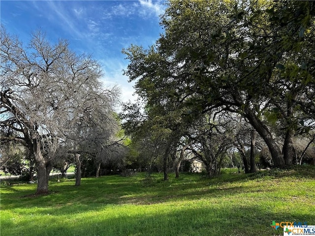 Listing photo 2 for TBD Estate Drive, Belton TX 76513