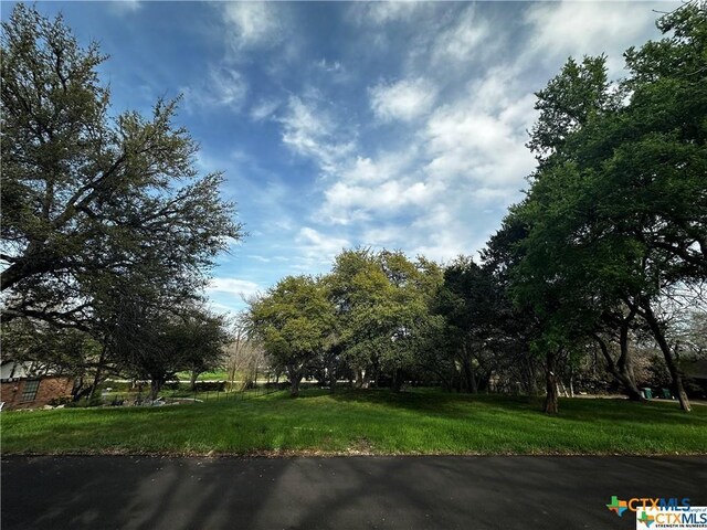 TBD Estate Drive, Belton, TX 76513 - photo 9