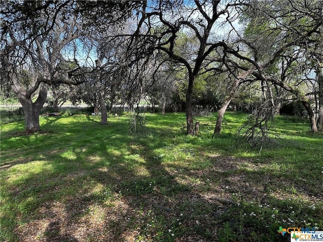 TBD Estate Drive, Belton, TX 76513 - photo 6