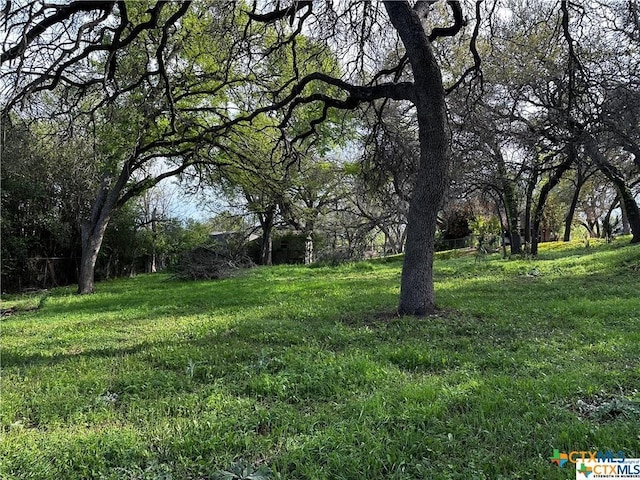 TBD Estate Drive, Belton, TX 76513 - photo 3