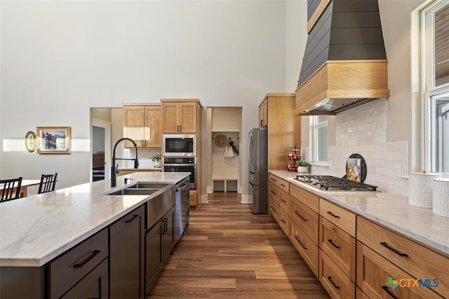 200 County Road 246, Florence, TX 76527 - kitchen with stainless steel appliances, a towering ceiling, premium range hood, a sink, and dark wood-style floors