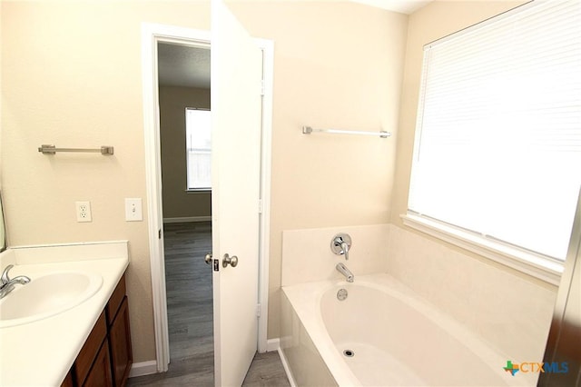 bathroom featuring a bath, vanity, and wood finished floors