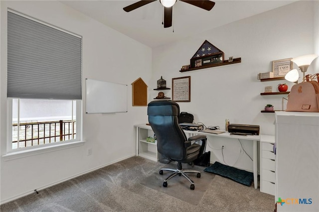 501 Fort William St, Hutto, TX 78634 - photo 22