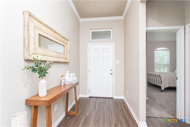 10207 Six Shooter Ln, Temple, TX 76502 - entrance foyer with ornamental molding, wood finished floors, and baseboards