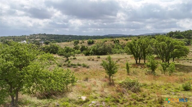 207 Verbena Ct, Johnson City, TX 78636 - photo 12