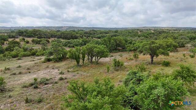 207 Verbena Ct, Johnson City, TX 78636 - photo 9