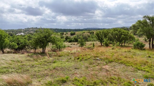 207 Verbena Ct, Johnson City, TX 78636 - photo 11