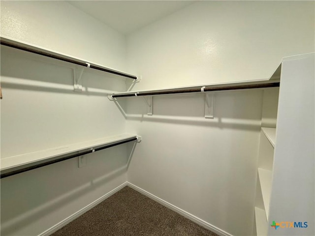 spacious closet with dark colored carpet