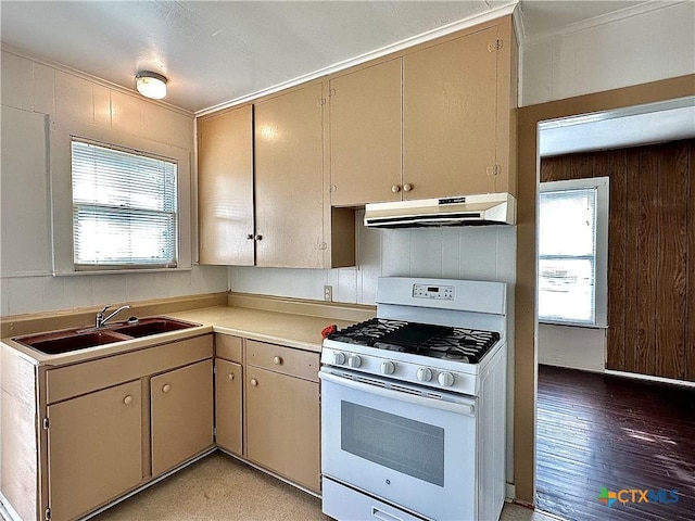 kitchen with white gas stove, light countertops, a sink, wooden walls, and under cabinet range hood