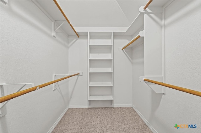 519 Gianotti Ct, Temple, TX 76502 - walk in closet with carpet flooring