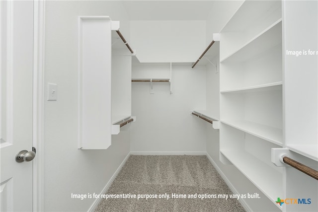 walk in closet with light colored carpet