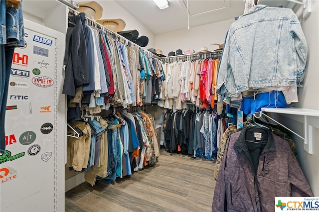 spacious closet with wood-type flooring