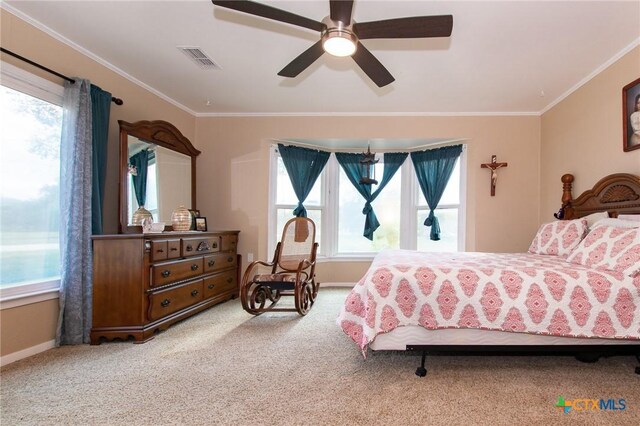 4417 S Pea Ridge Rd, Temple, TX 76502 - bedroom with crown molding, multiple windows, carpet, and baseboards