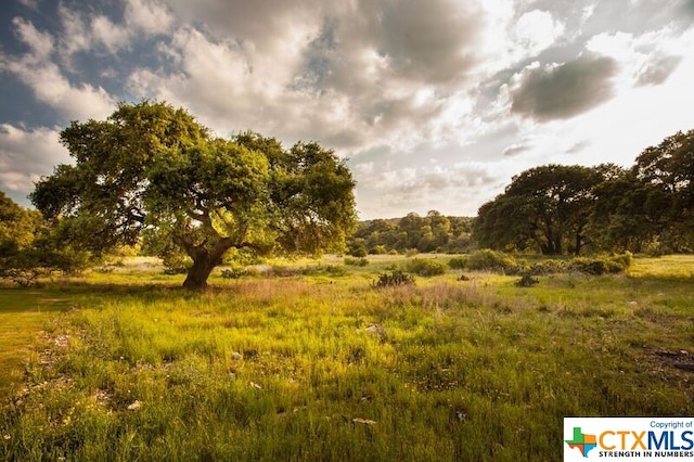 584 Tobacco Pass, New Braunfels, TX 78132 - view of local wilderness