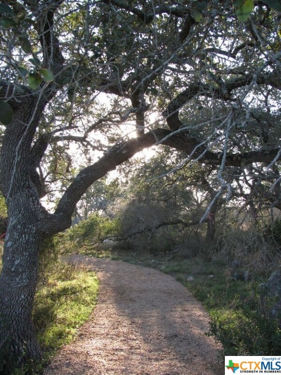 584 Tobacco Pass, New Braunfels, TX 78132 - view of property's community