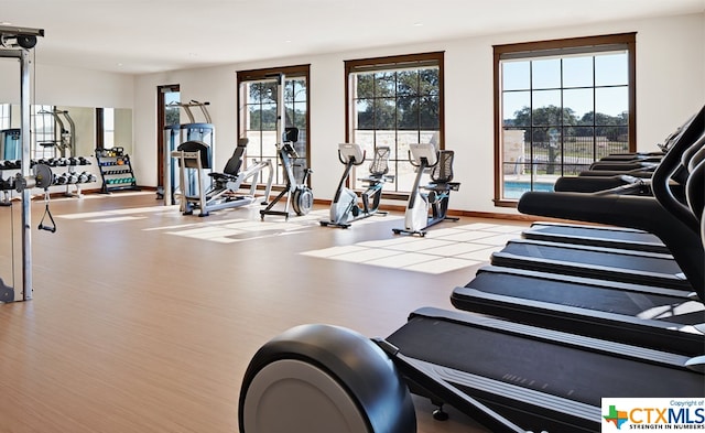 gym with a wealth of natural light and light hardwood / wood-style floors