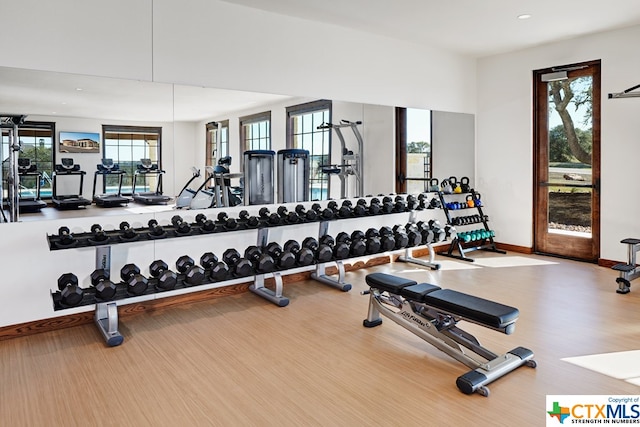 exercise room with hardwood / wood-style flooring