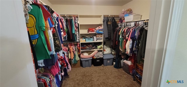 1910 Deerfield Way, Harker Heights, TX 76548 - spacious closet featuring carpet flooring
