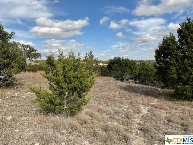 LOT153 High Point Dr, Kempner, TX 76539