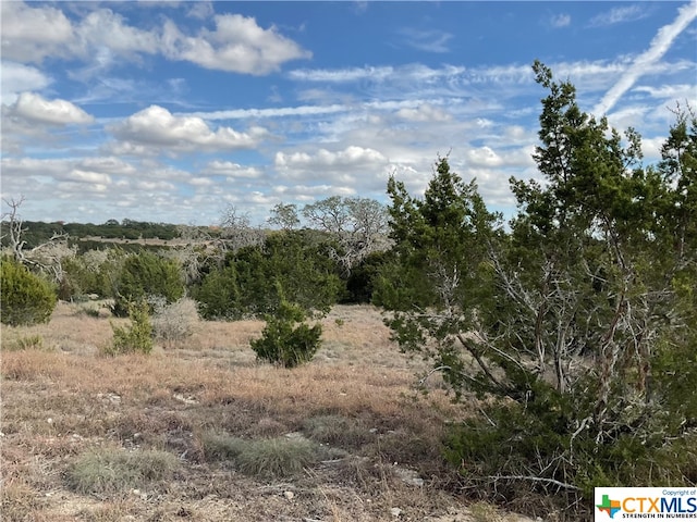 Listing photo 3 for LOT153 High Point Dr, Kempner TX 76539