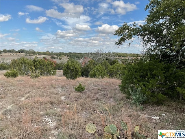 LOT153 High Point Dr, Kempner, TX 76539
