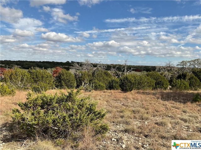 LOT153 High Point Dr, Kempner, TX 76539