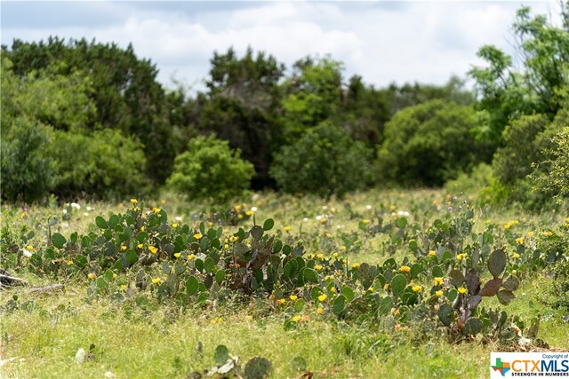 Listing photo 3 for 12299 Crows Ranch Rd, Salado TX 76571