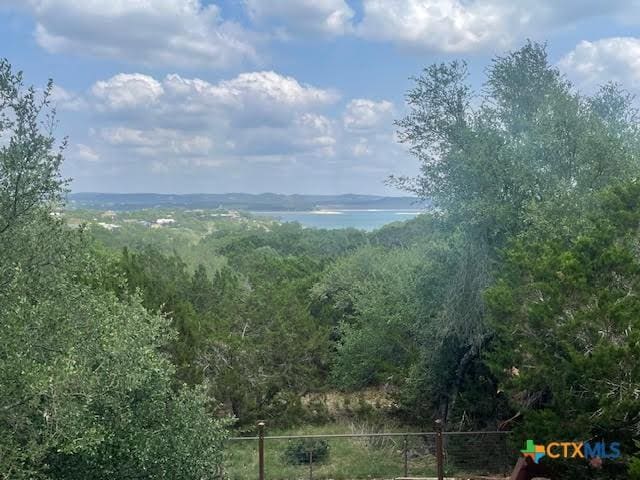 property view of mountains featuring a forest view
