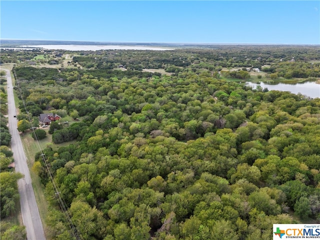 1474 Twin Oak Dr, Whitney, TX 76692 - photo 8