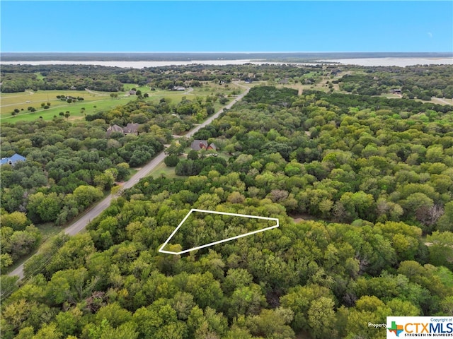 1474 Twin Oak Dr, Whitney, TX 76692 - photo 3
