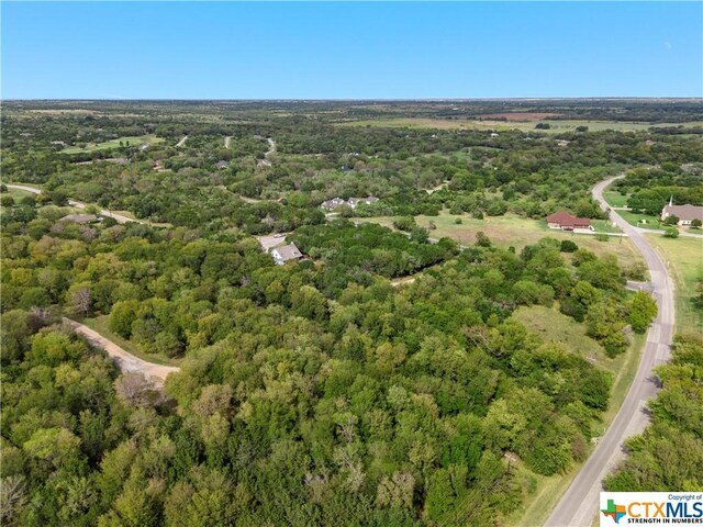 1474 Twin Oak Dr, Whitney, TX 76692 - photo 9
