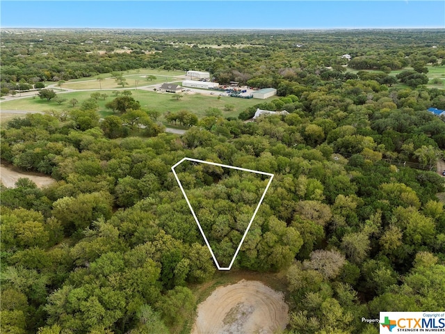 1474 Twin Oak Dr, Whitney, TX 76692 - photo 1