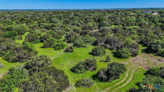 Listing photo 3 for 12323 Crows Ranch Rd, Salado TX 76571