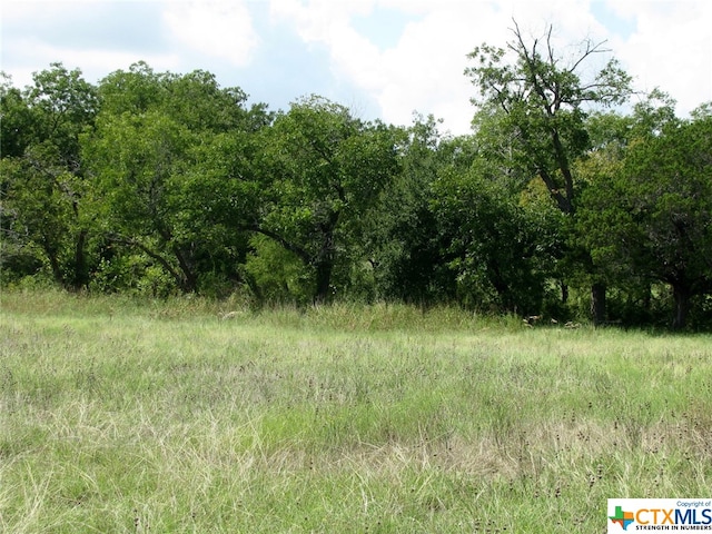 Listing photo 2 for 369 Private Road 305th Ln, Gatesville TX 76528