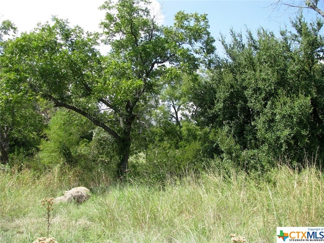 369 Private Road 305th Ln, Gatesville TX, 76528 land for sale