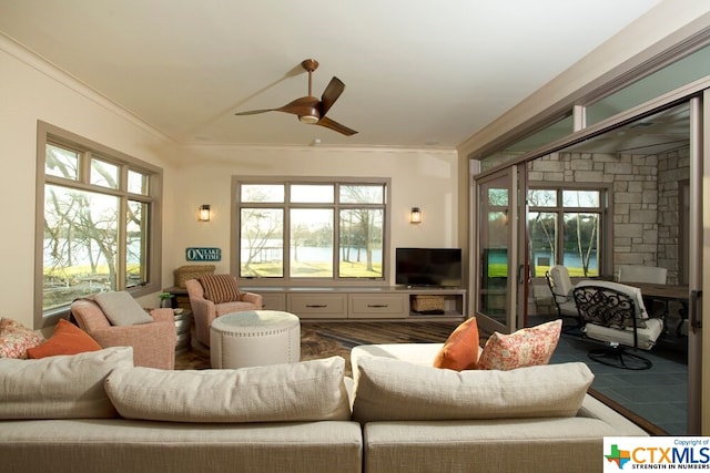 living room with ceiling fan, a healthy amount of sunlight, and crown molding