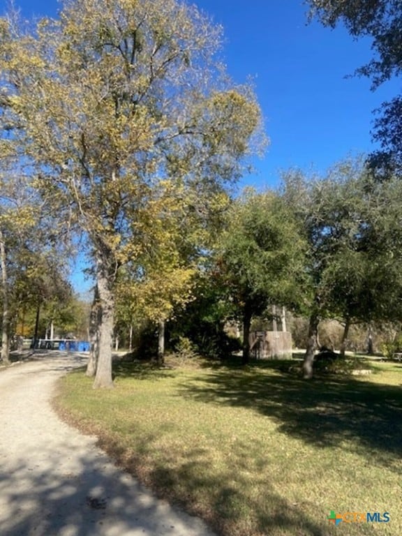 view of property's community featuring a yard