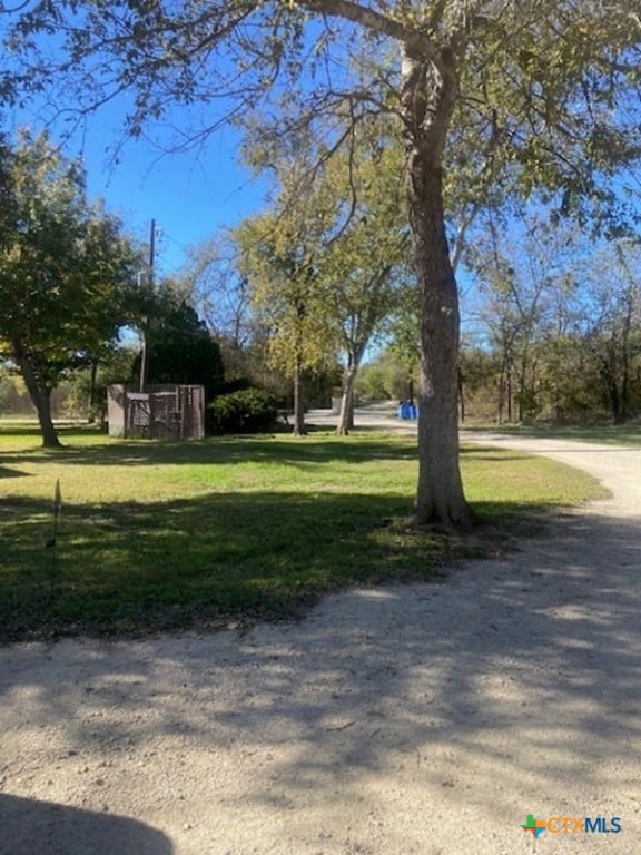 view of community with a lawn