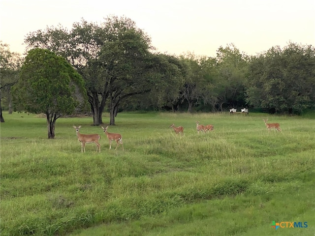 107 Savannah Dr, Victoria, TX 77904 - view of yard with a view of countryside