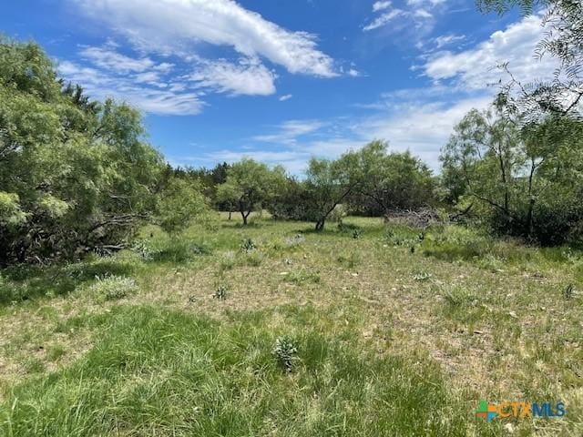 5618 County Road 3300, Kempner, TX 76539 - view of undeveloped land