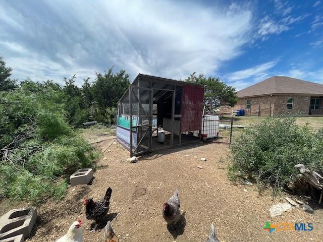 5618 County Road 3300, Kempner, TX 76539 - view of poultry coop