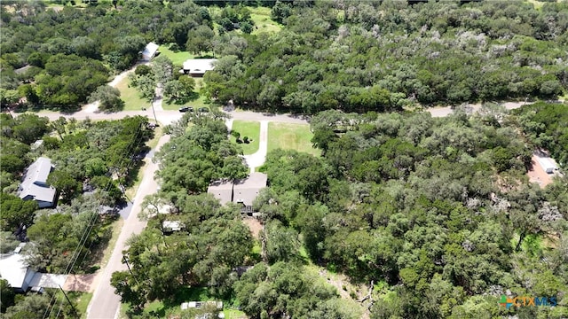 781 Mary Preiss Dr, New Braunfels, TX 78132 - photo 22