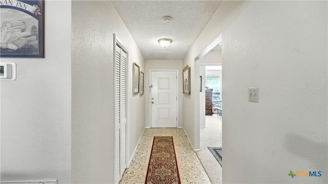 781 Mary Preiss Dr, New Braunfels, TX 78132 - photo 3