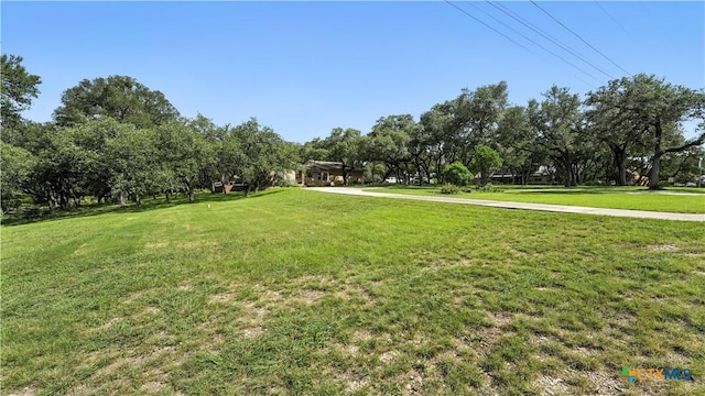 781 Mary Preiss Dr, New Braunfels, TX 78132 - photo 23